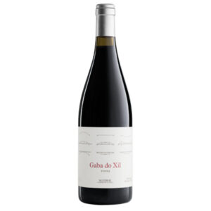Telmo Rodriguez Gaba Do Xil Mencia (13% ABV) 750 ML